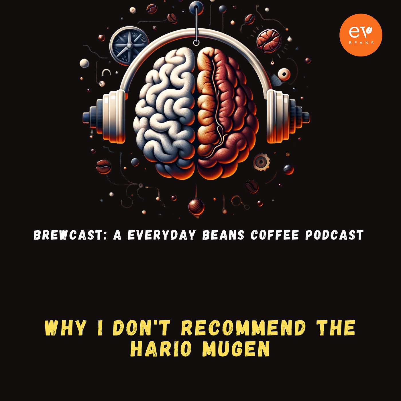 Why I Don't Recommend the Hario Mugen