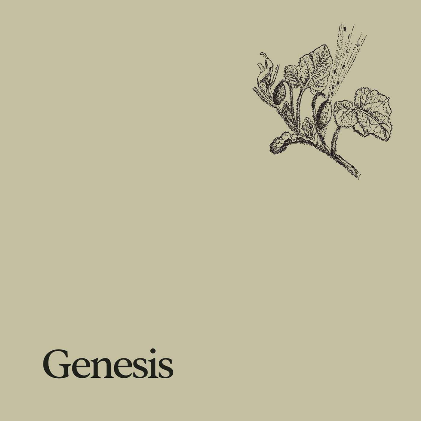 The Chapel: Greater Lafayette