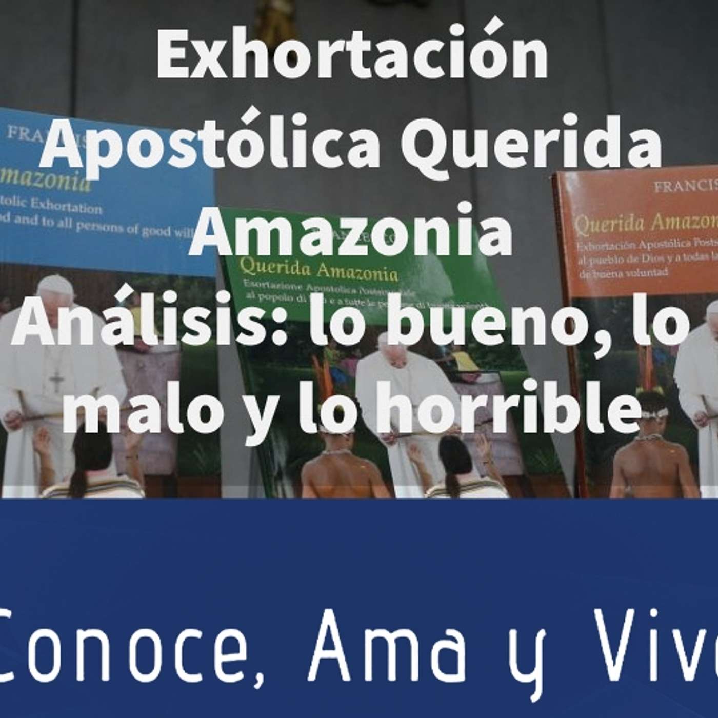 Episodio 187: 📗 Exhortación Apostólica Querida Amazonia ✝️ Lo bueno, lo malo y lo horrible 😪 episode artwork