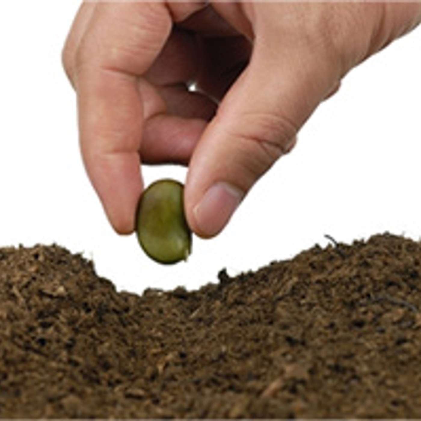 Episode 746 - The Power of just 1 Seed