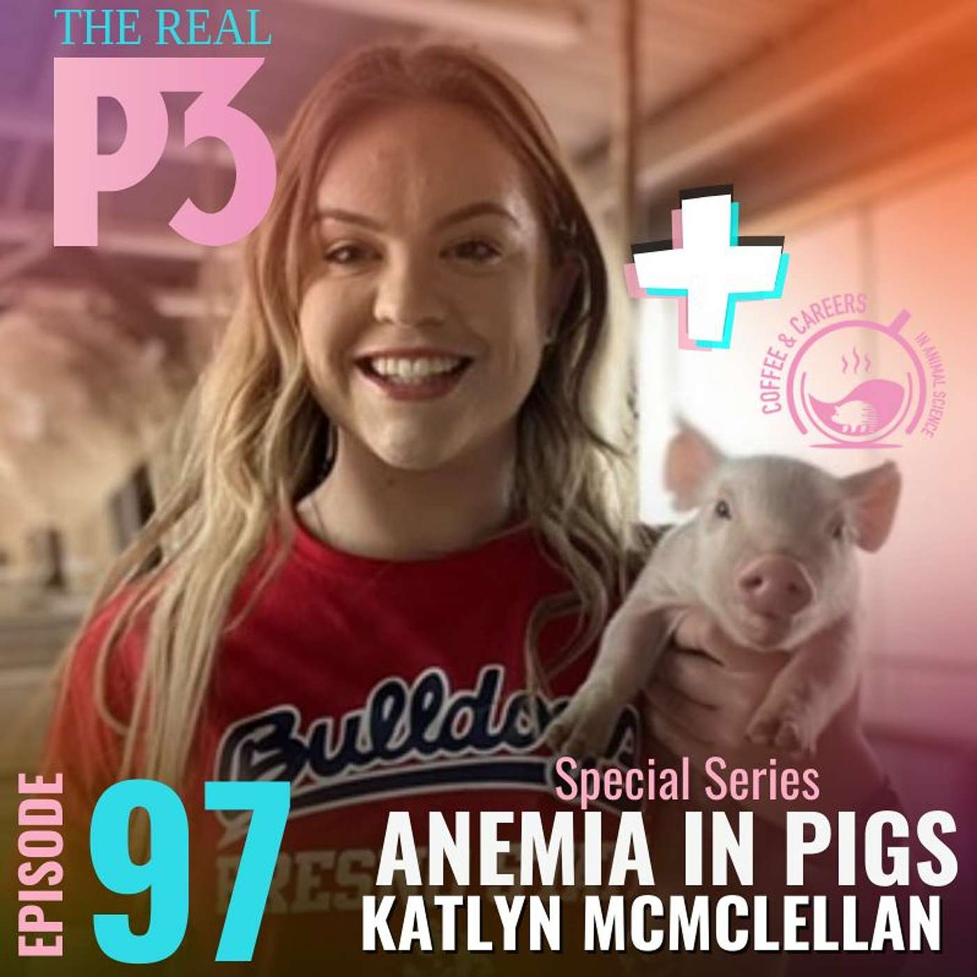 The Real P3
