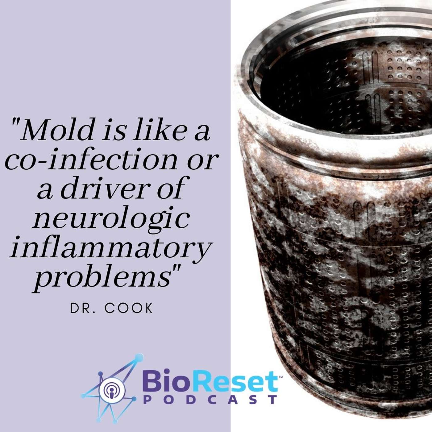 Dr. Cook Roundtable Q&A Series: A Functional Medicine Approach to Treating Mold and Mycotoxins