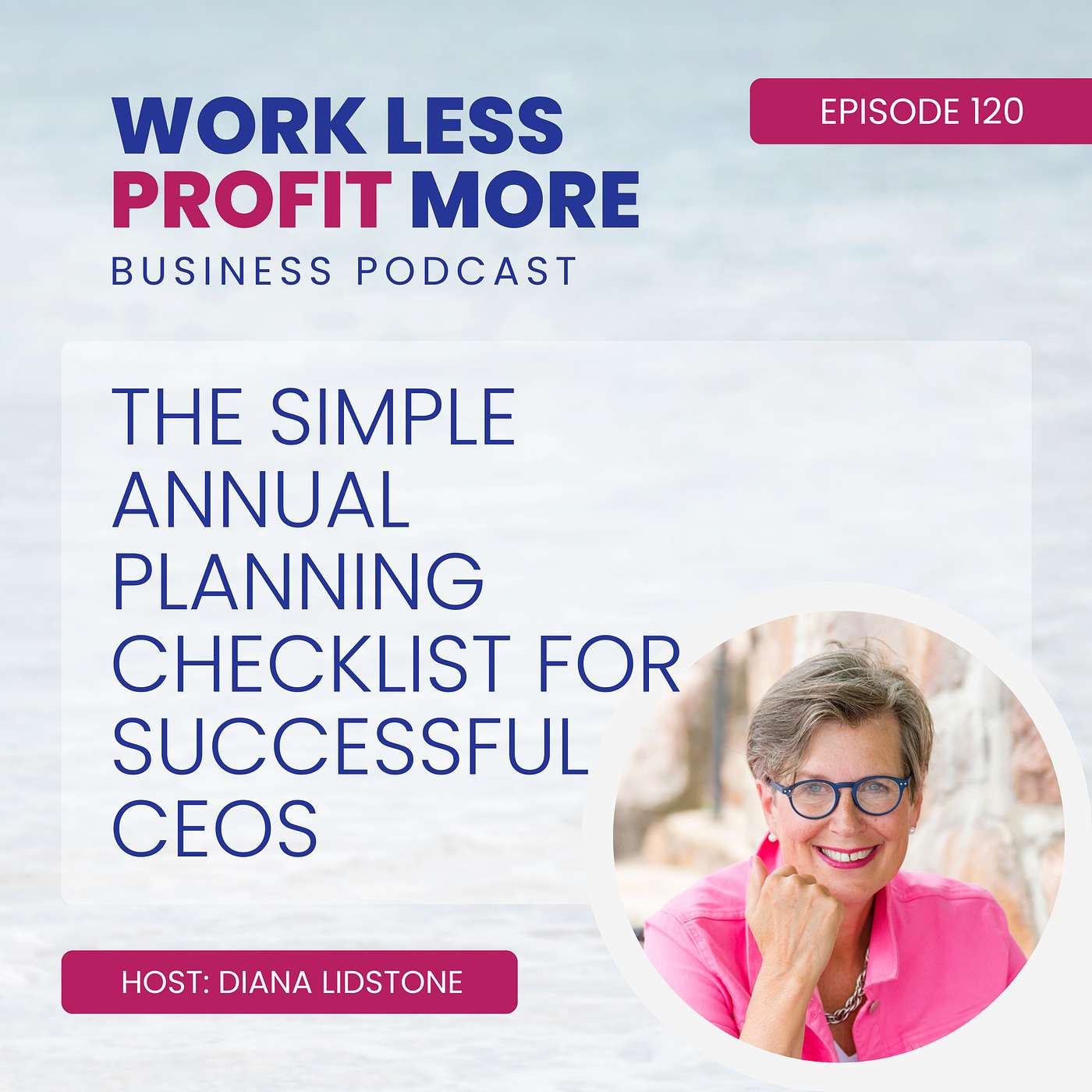 Work Less PROFIT More Business Podcast