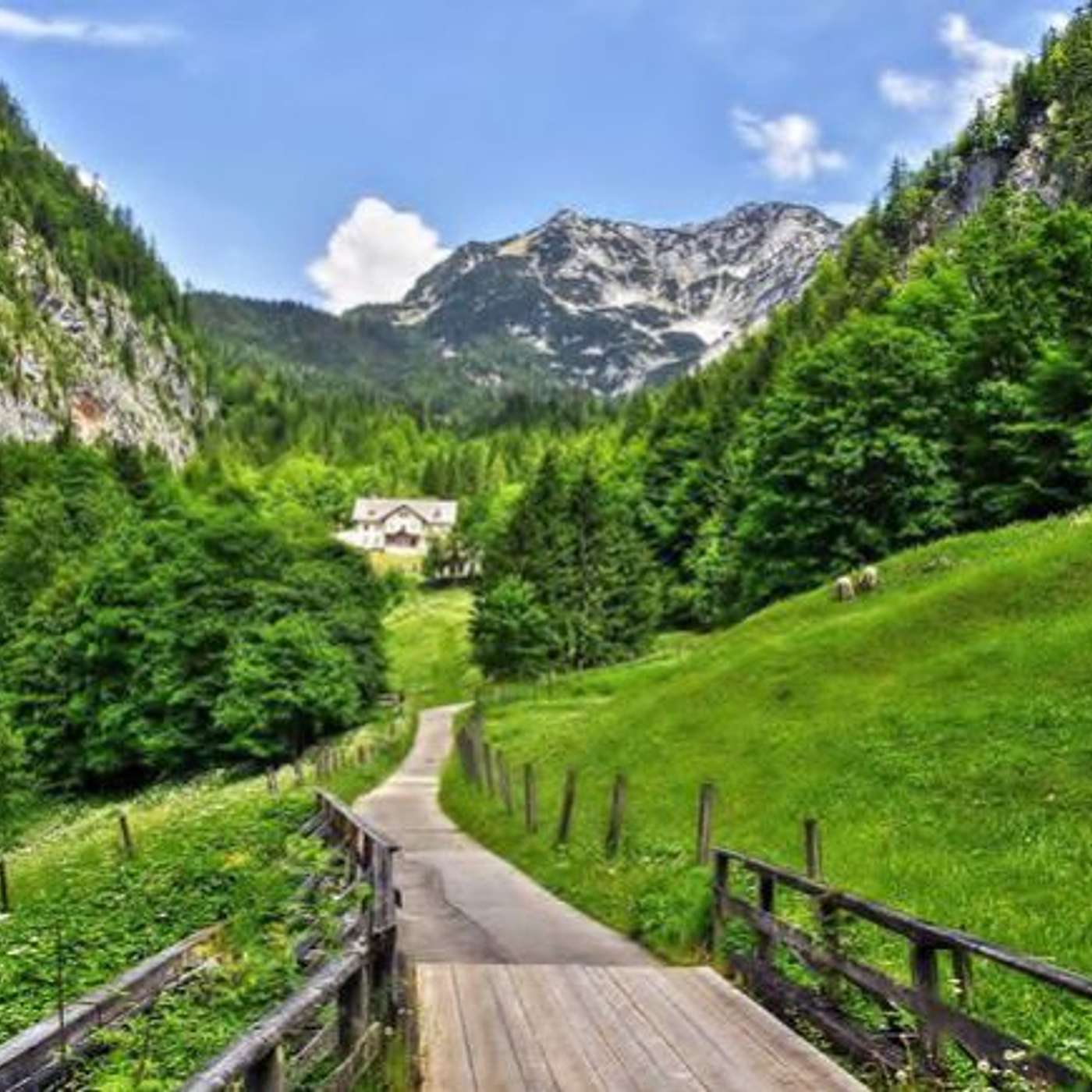Strait is the gate, and Narrow is the way.