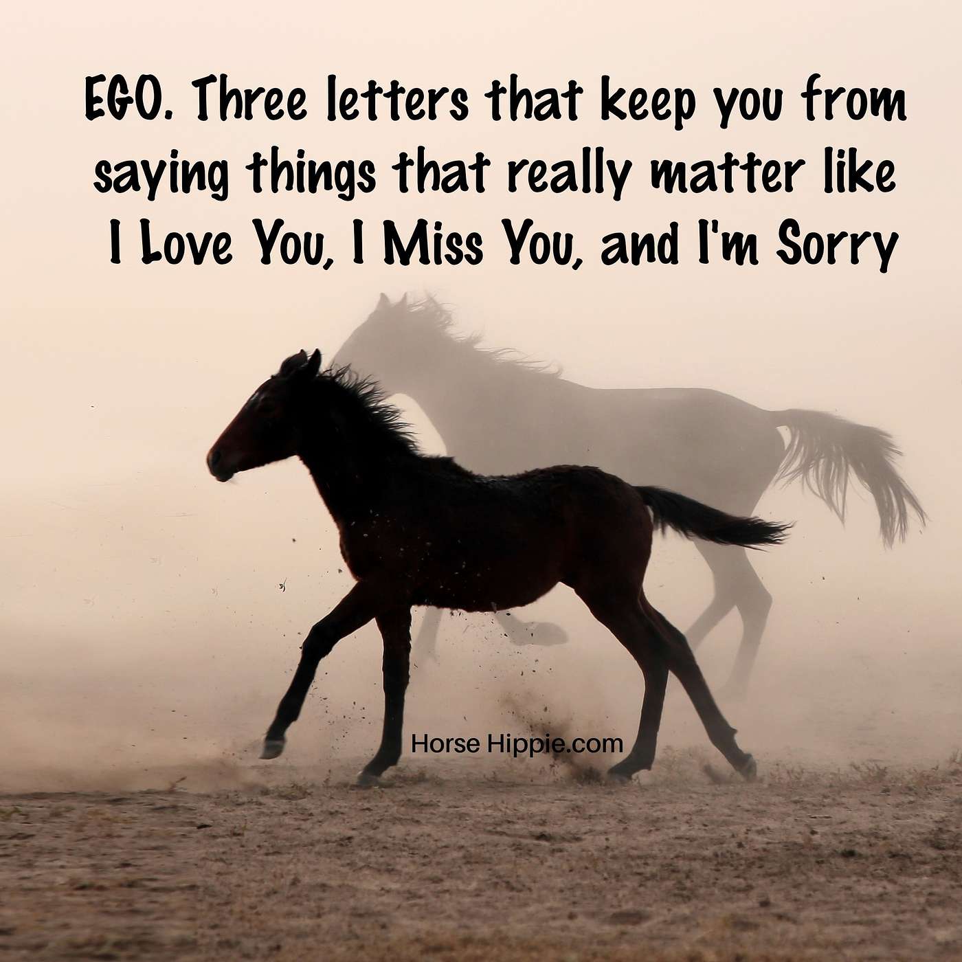 Let Go of EGO episode artwork