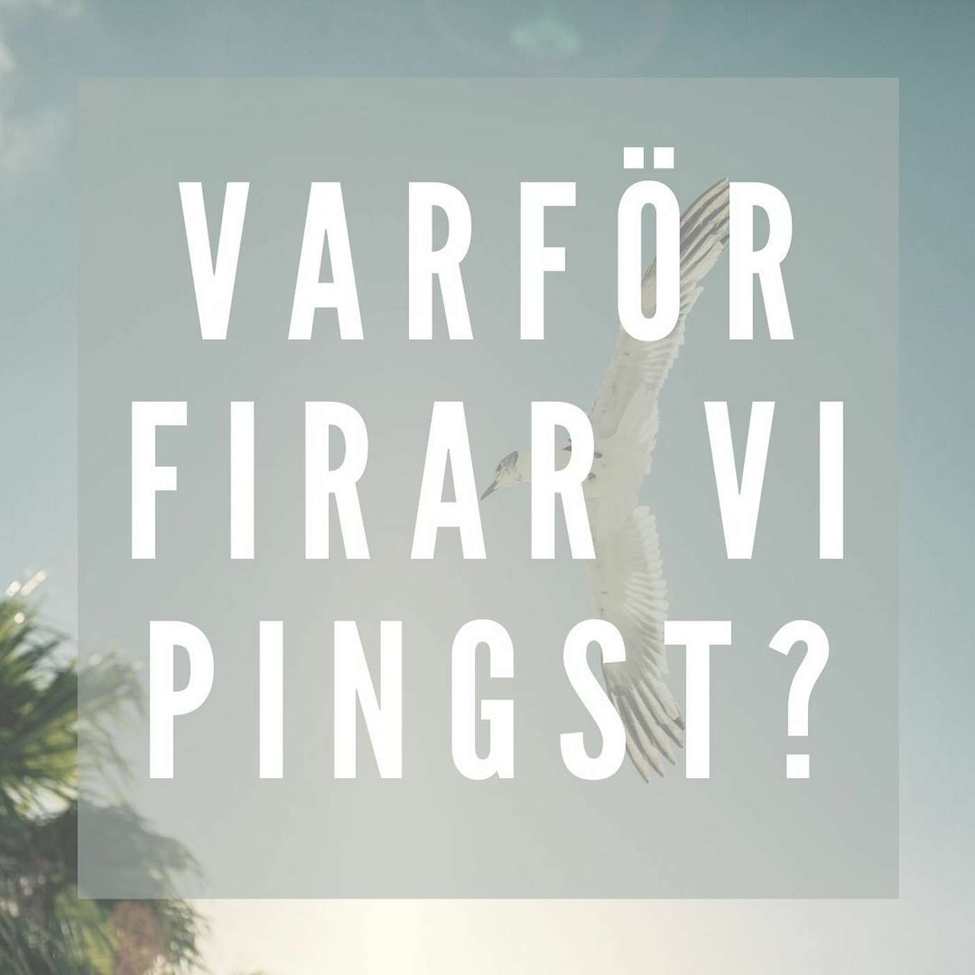 Missionskyrkan Vännäs