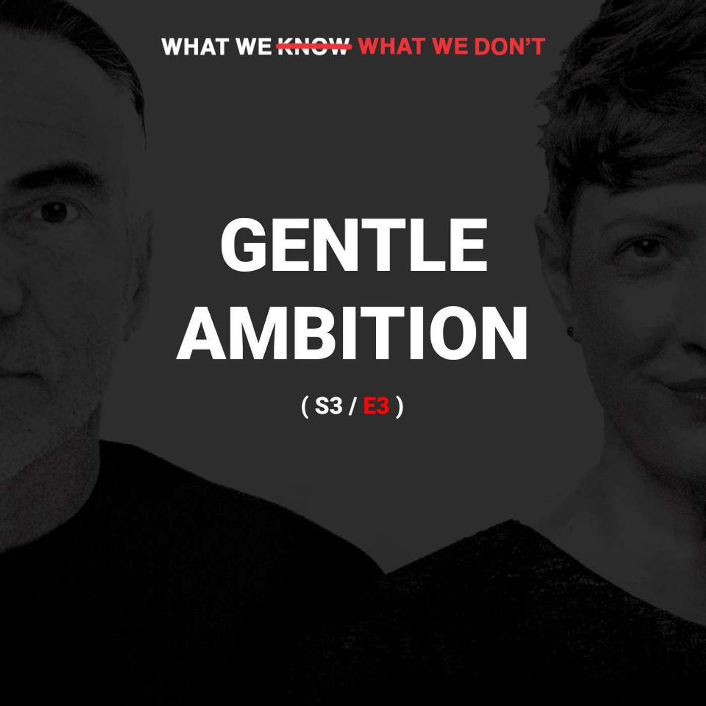 What We Know, What We Don\'t
