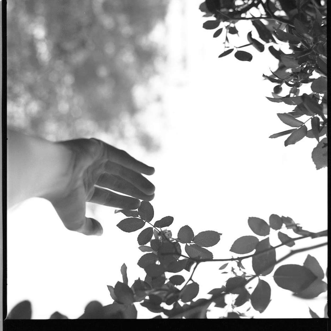 A Spring Fever Interlude