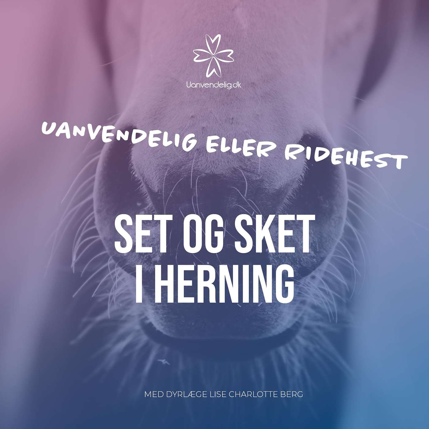 Set og Sket i Herning - Med Lise Charlotte Berg og Birgitte Tribler