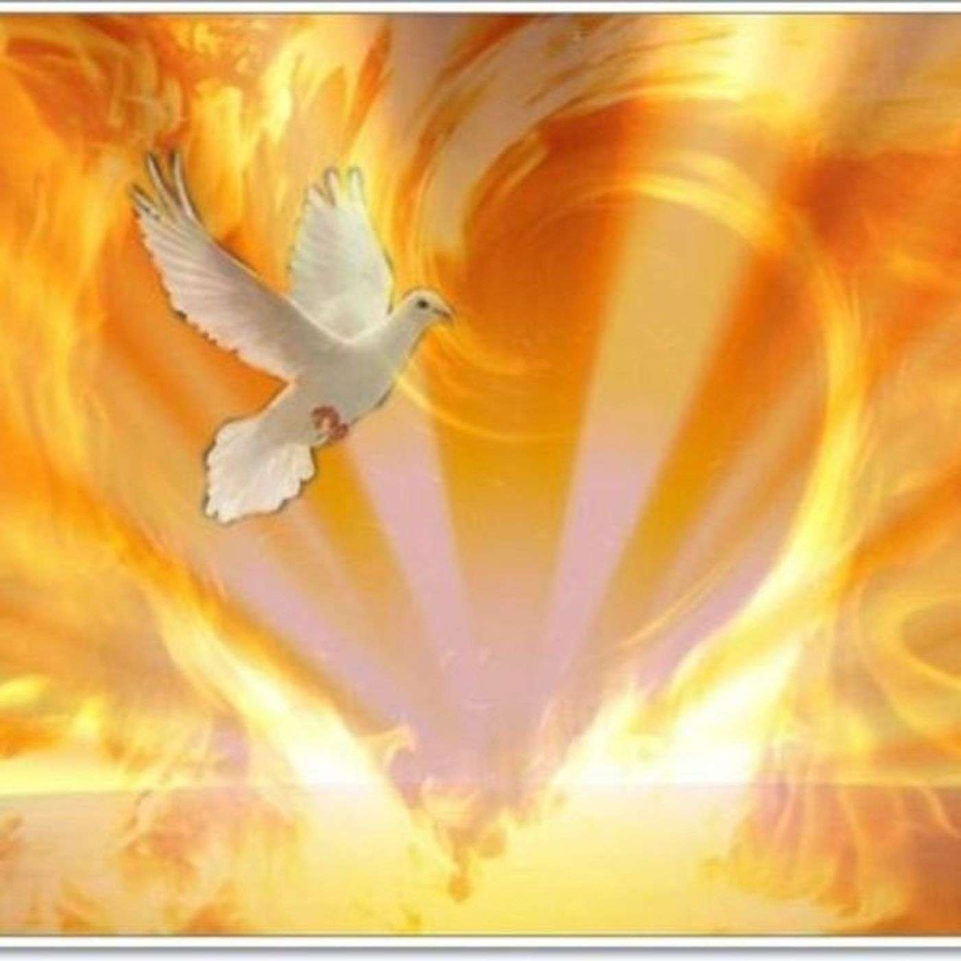 Message for 1-31-2016