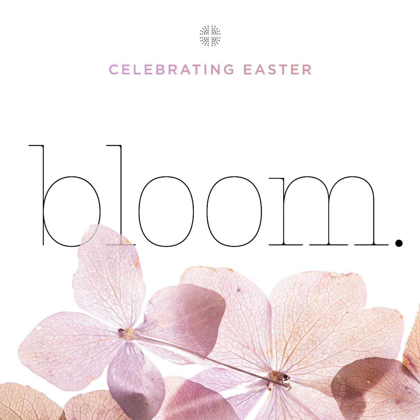 Bloom: Easter as New Creation