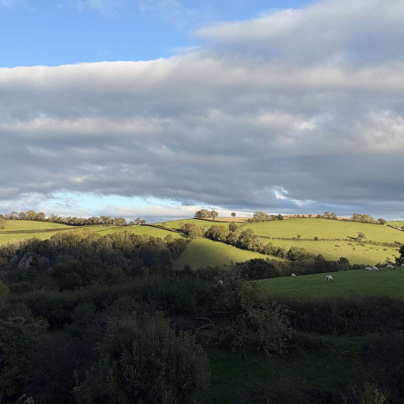 Sherborne prepares for Pack Monday, Peter Wimsey gets to work and the Scots Guard’s magnificent Highland Cathedral