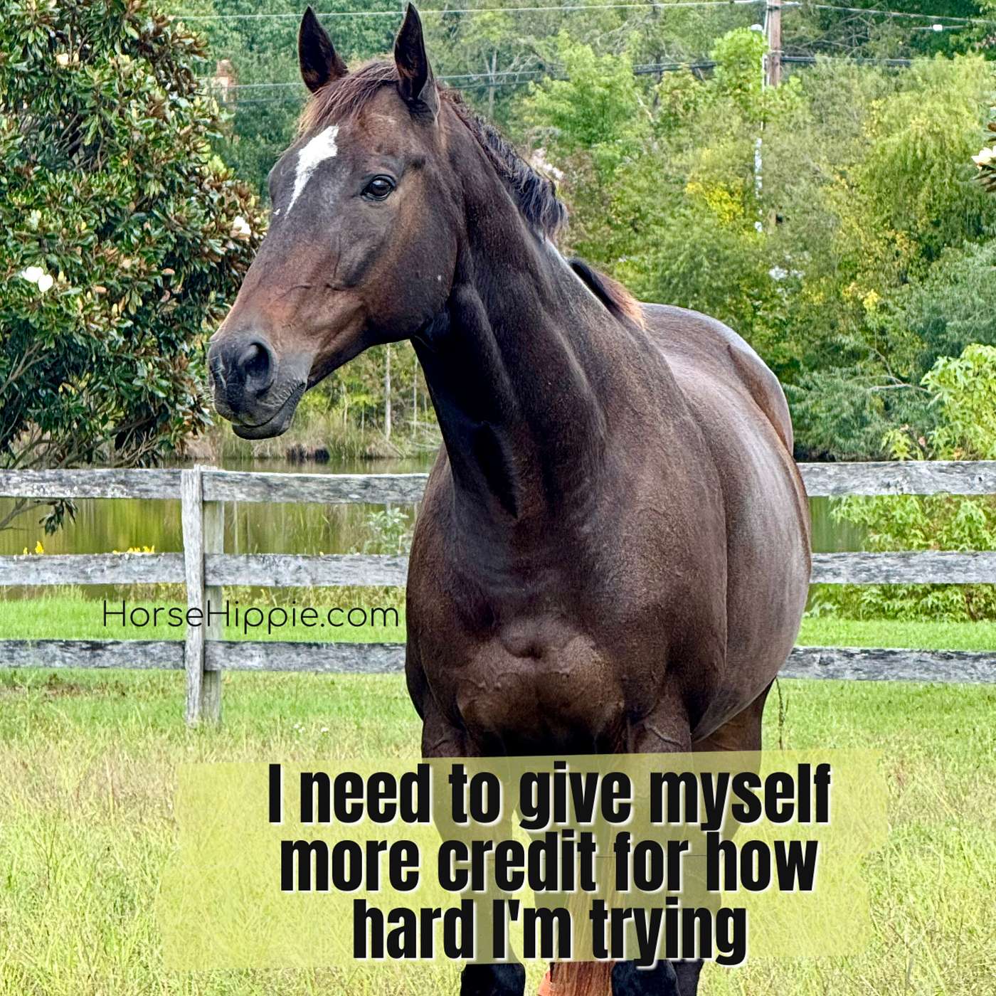 Give Yourself Some Credit