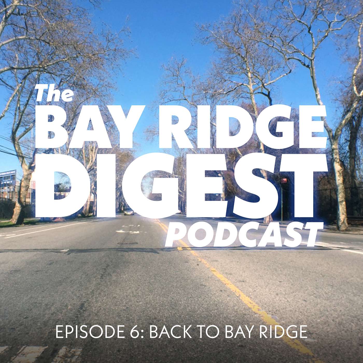 The Bay Ridge Digest