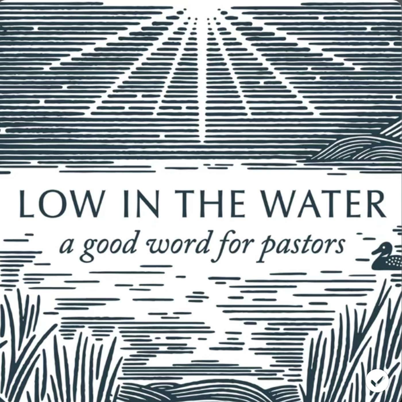 Low in the Water
