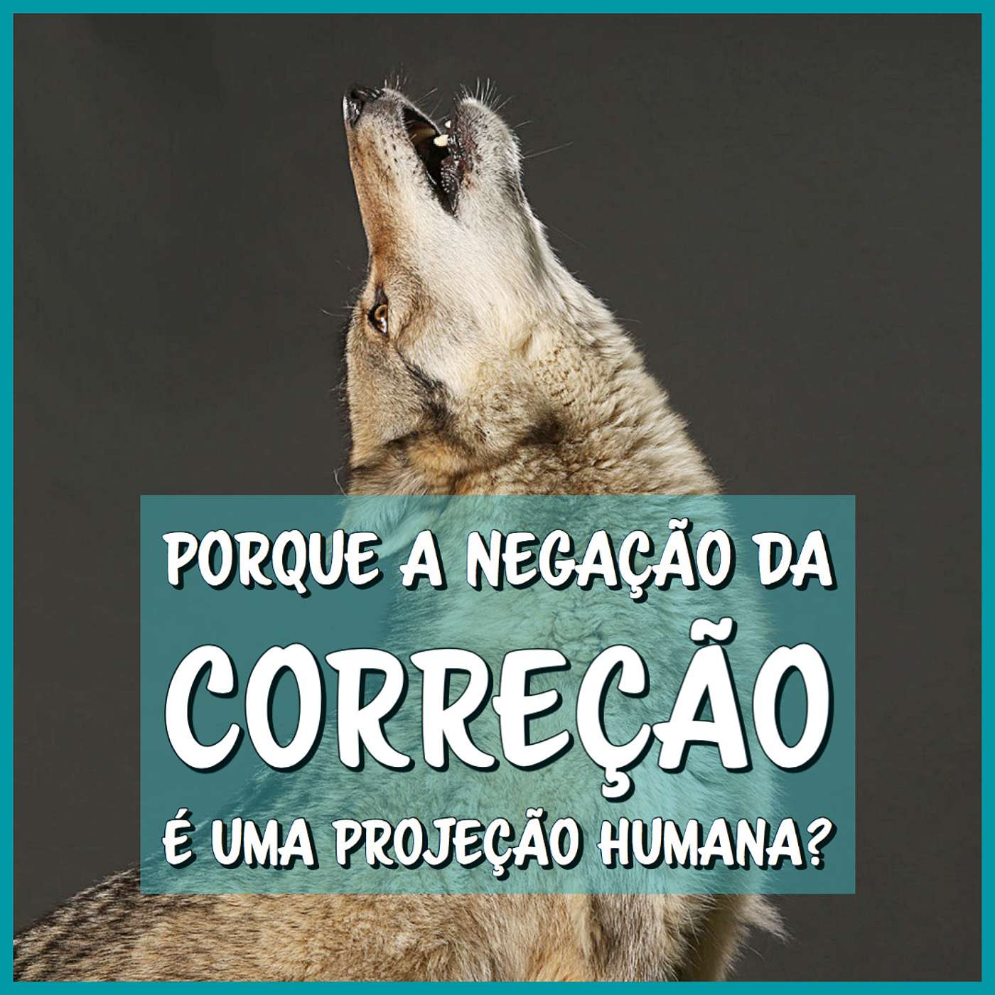 Porque a negação da correção é uma projeção humana? episode artwork