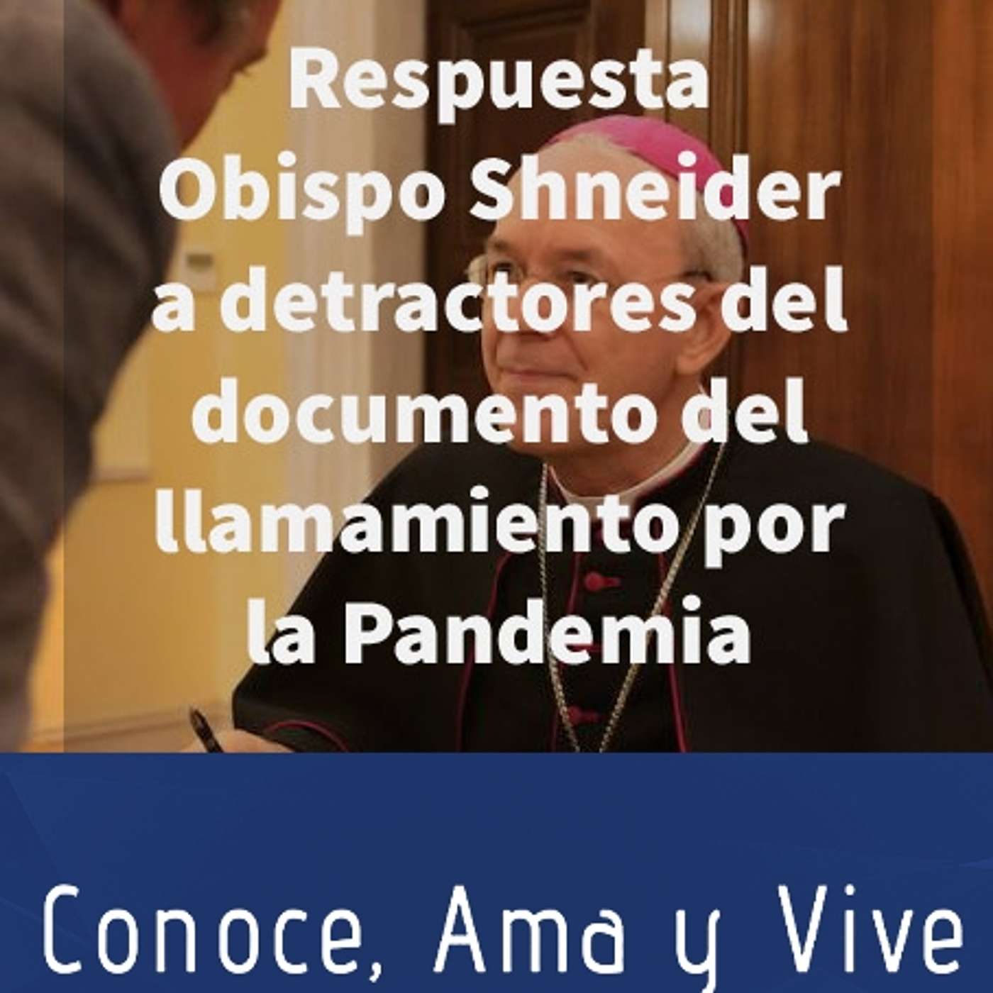 Episodio 261: 👊 Repuesta del Obispo Shneider a los detractores del documento del llamamiento por la Pandemia 🙏 episode artwork