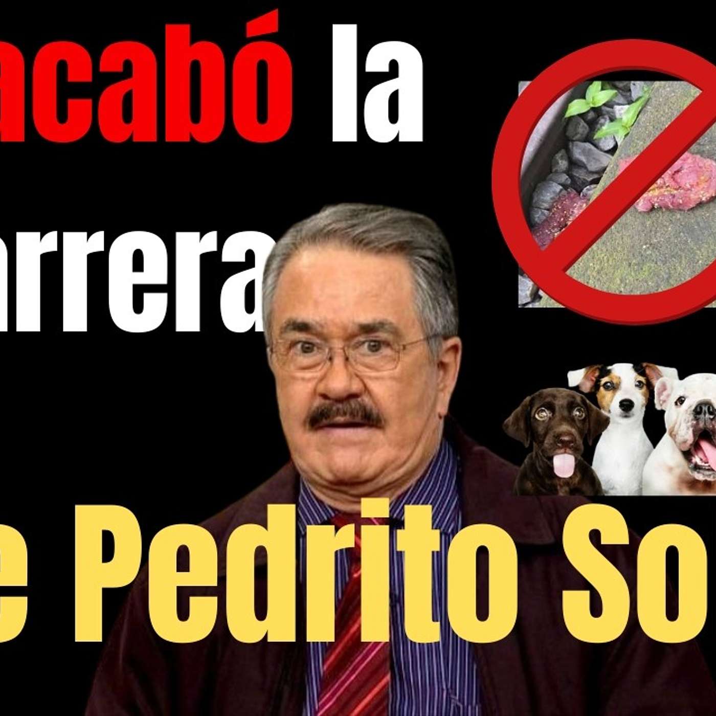 ¿Pedrito Sola acabó con su carrera?
