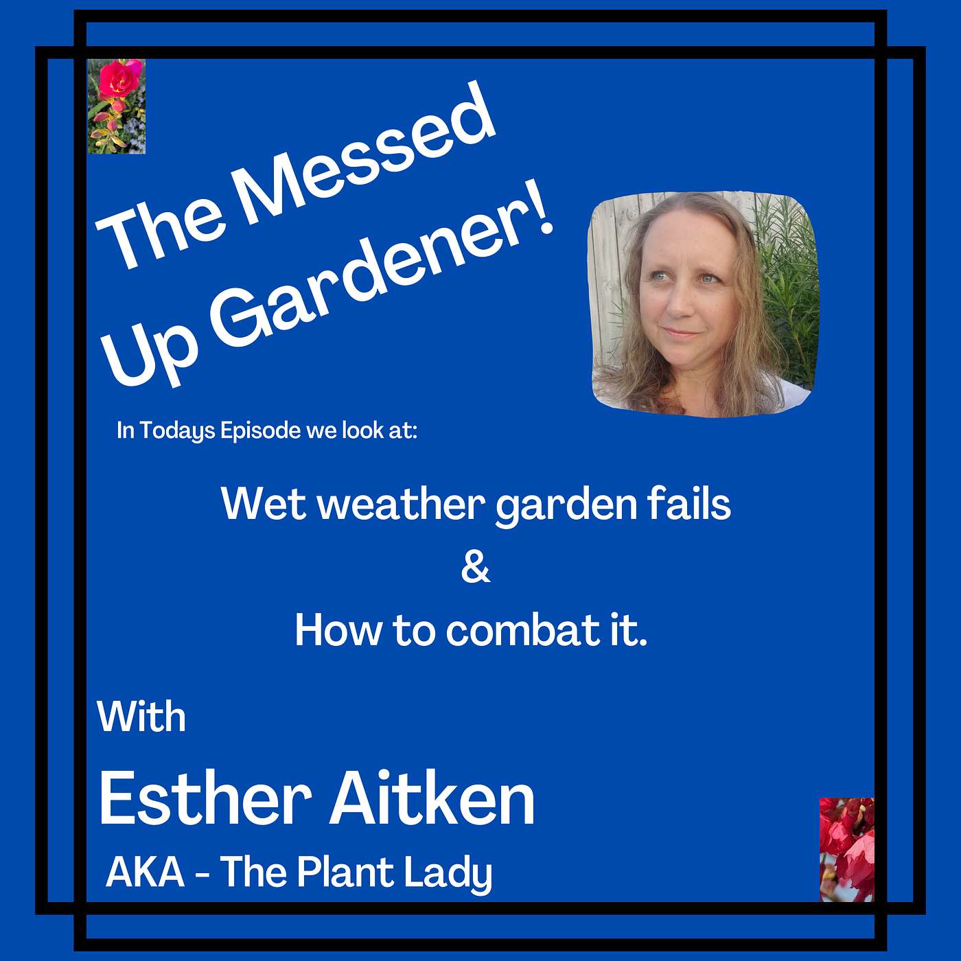 Ep13 - Wet weather garden fails & how to combat it.