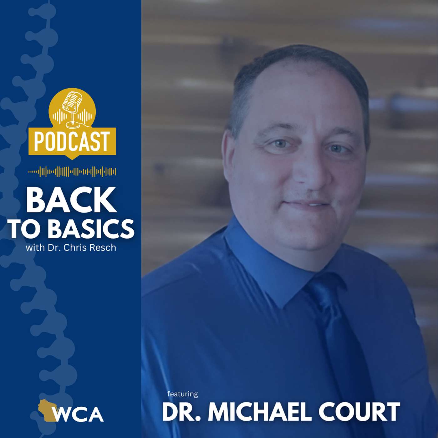 Dr. Michael Court: A Focus on the Postural Restoration System episode artwork