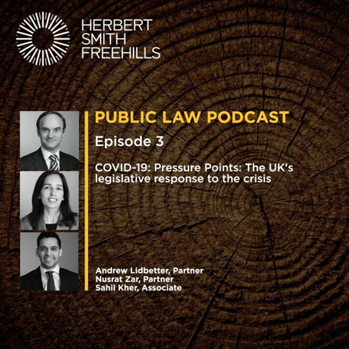 Public Law Podcast EP3: COVID-19: Pressure Points: The UK's legislative response to the crisis episode artwork