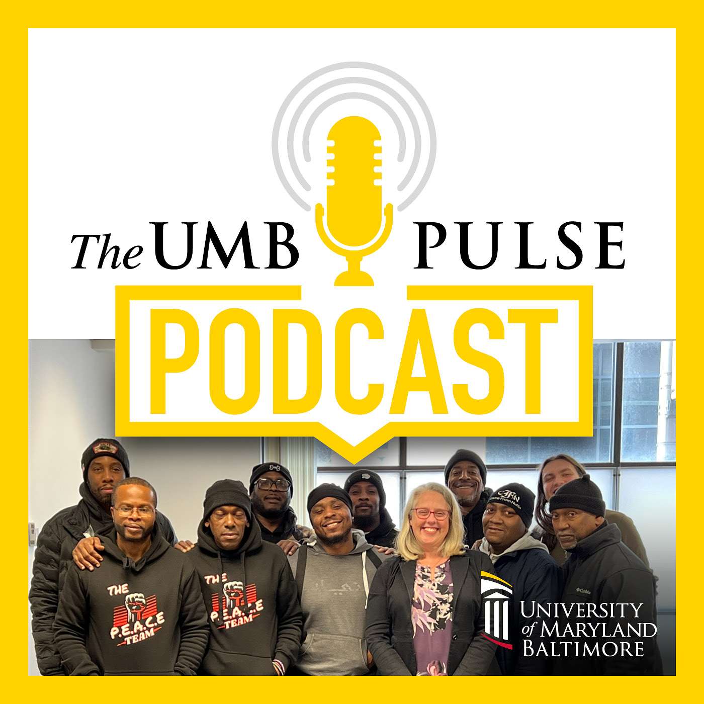 Bridging Gaps in Baltimore: The Embrace Initiative at UMB