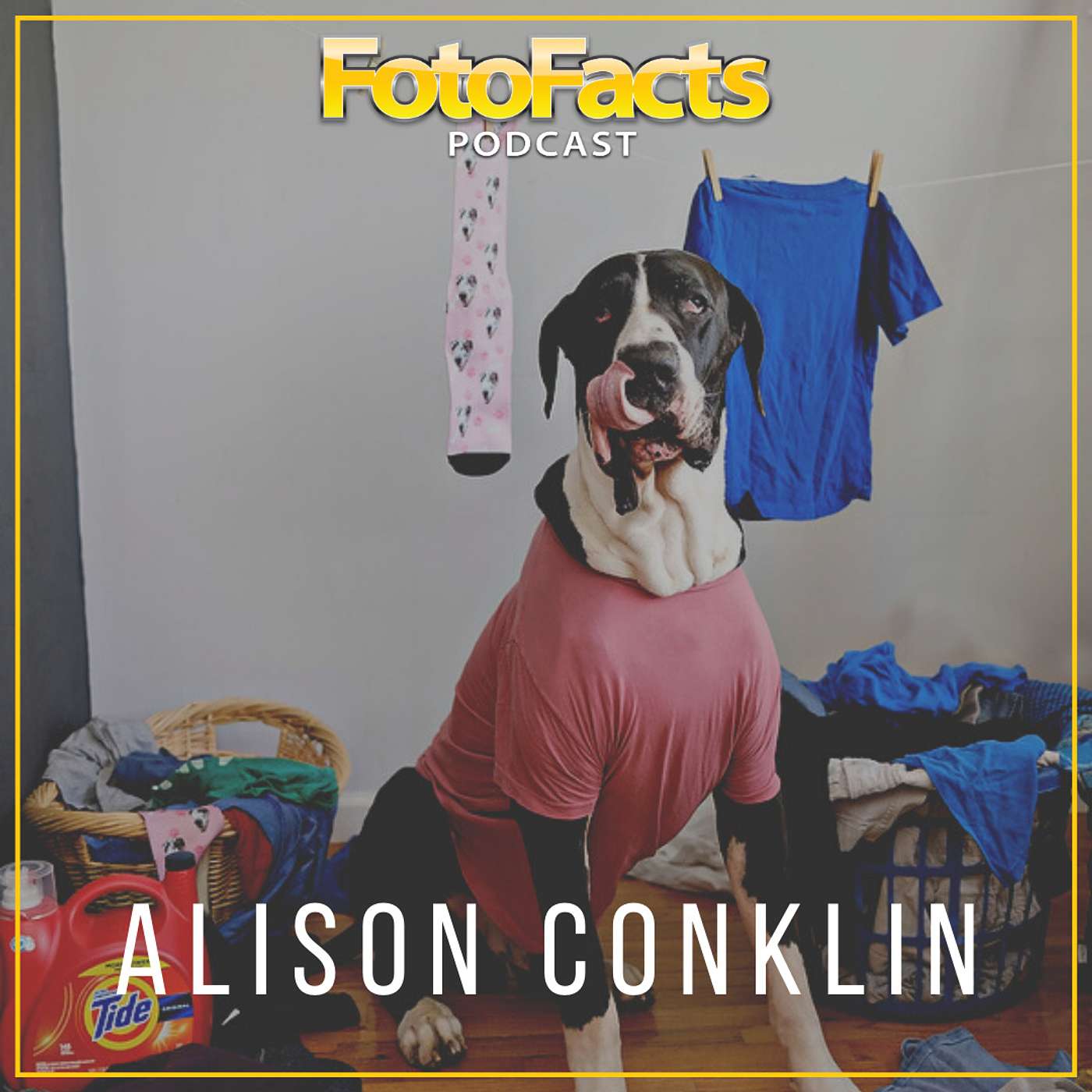 Ringo, Miracles & GFX with Alison Conklin