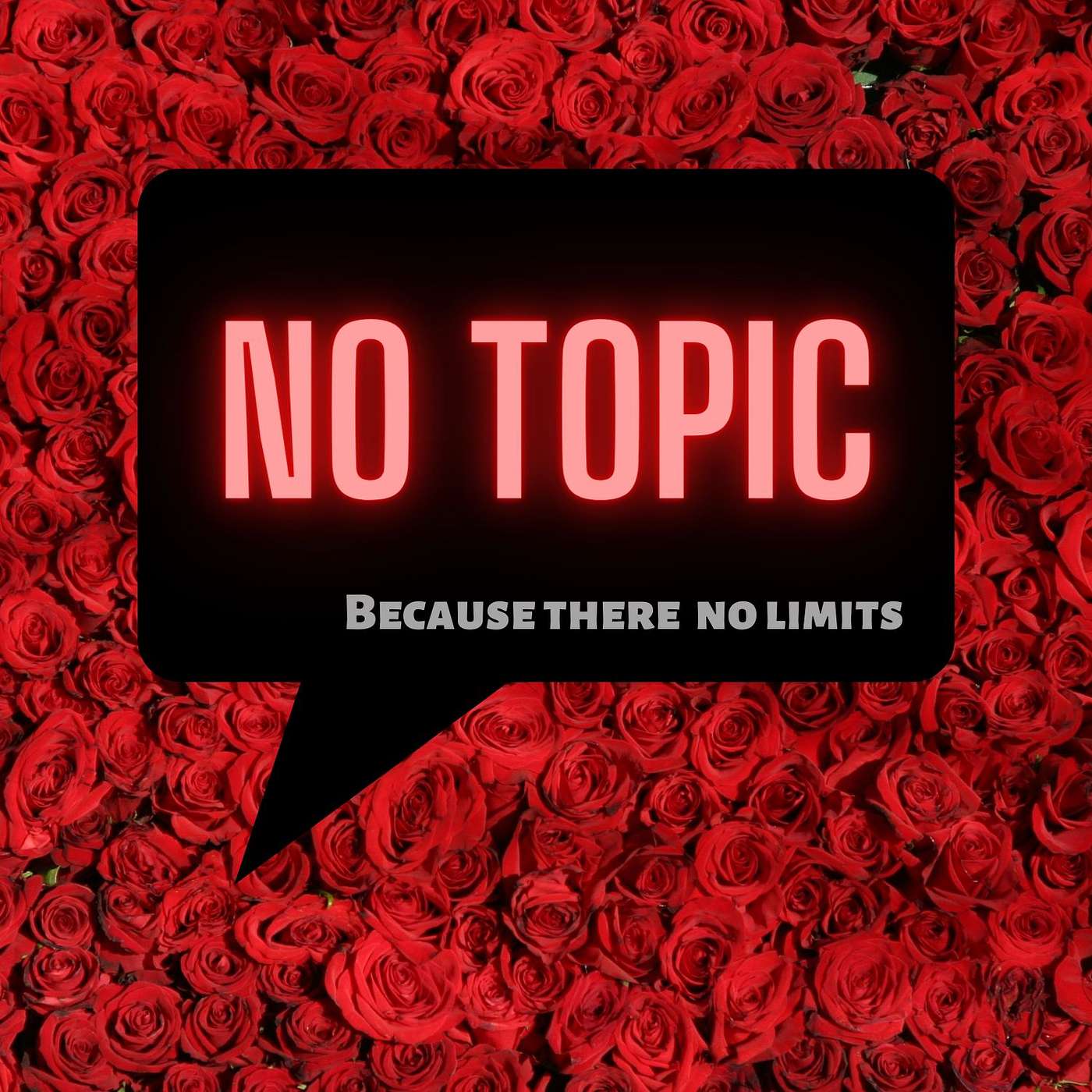 Notopic podcast artwork