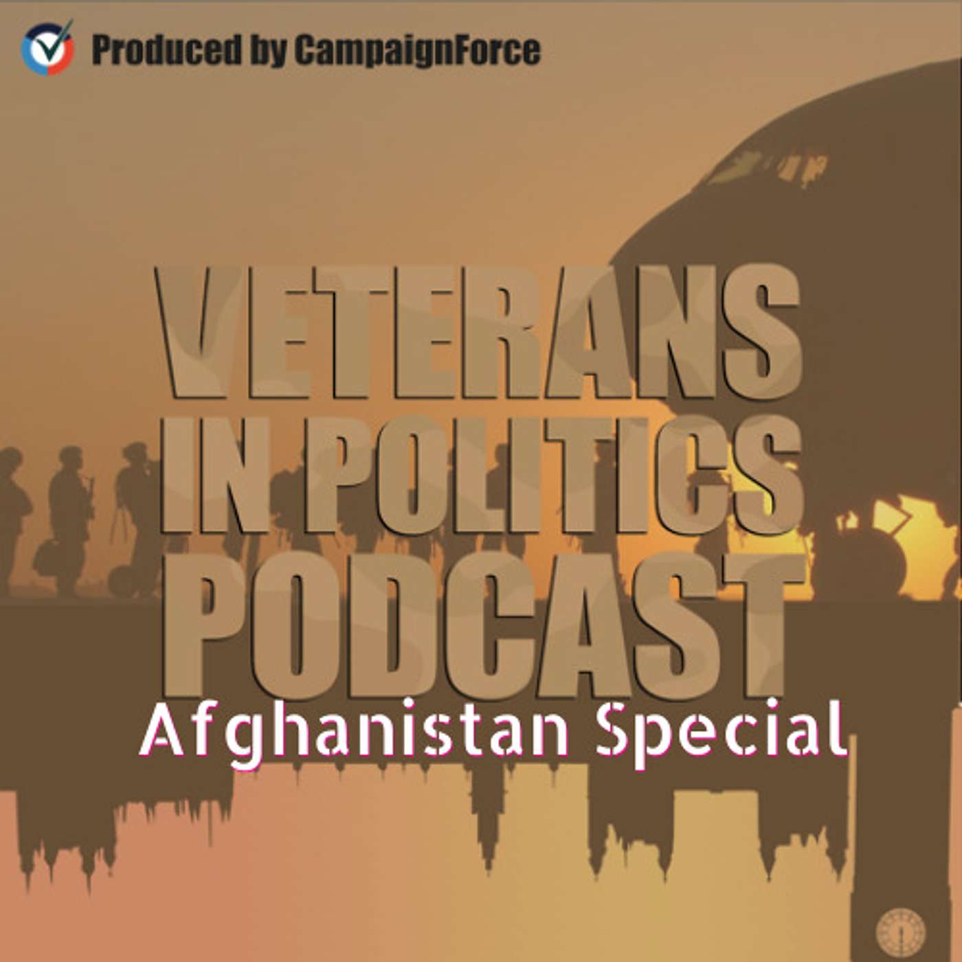 Veterans In Politics Podcast