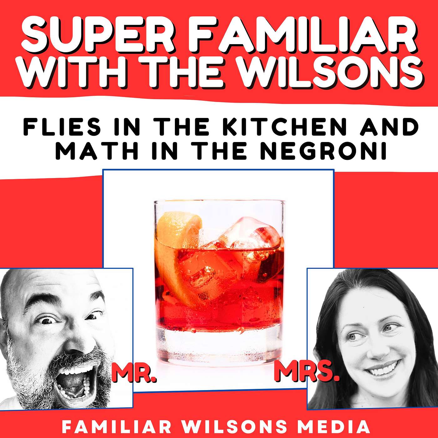 Flies in the Kitchen and Math in the Negroni