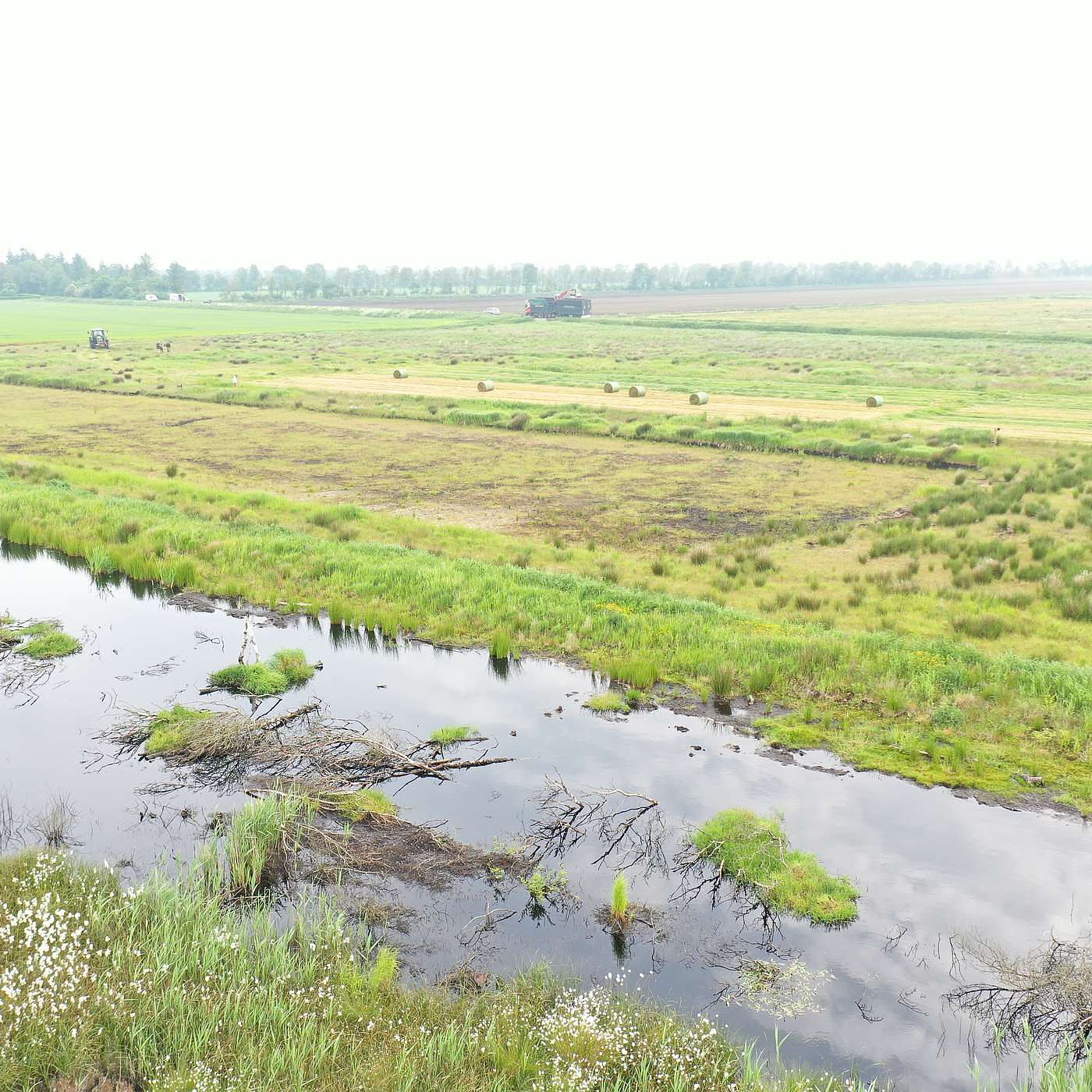 SEGES Økonomi og virksomhedsledelse