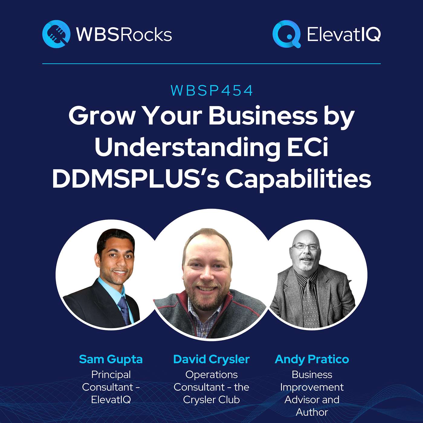 WBSRocks: Business Growth with Enterprise Software and Digital Transformation