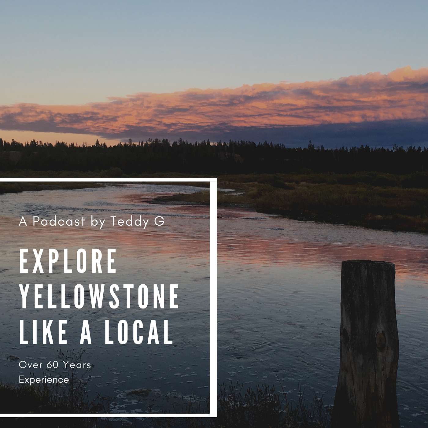 Explore Yellowstone Like a Local! Save TIME & MONEY on your Yellowstone Vacation.