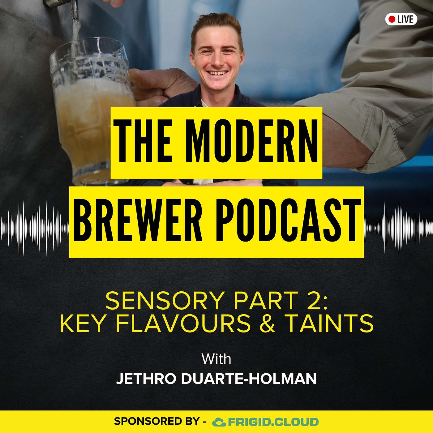 The Modern Brewer Podcast