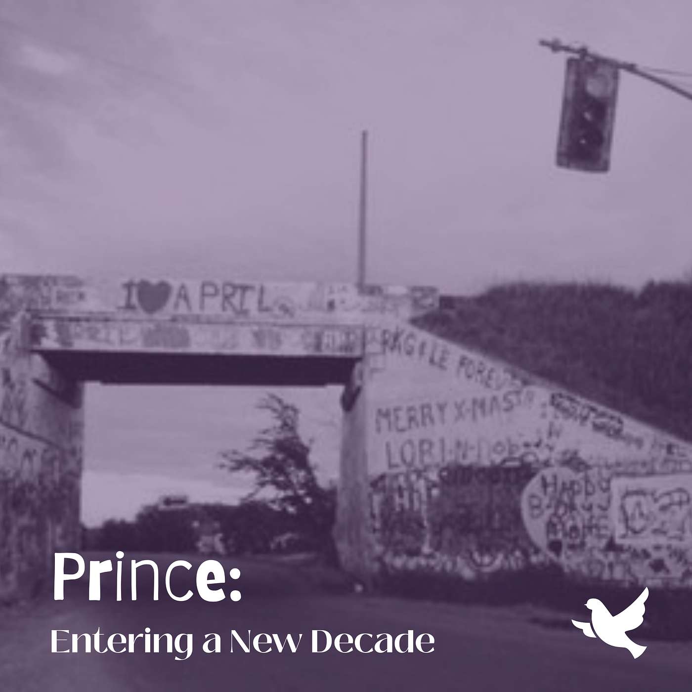 Prince: Entering a New Decade episode artwork