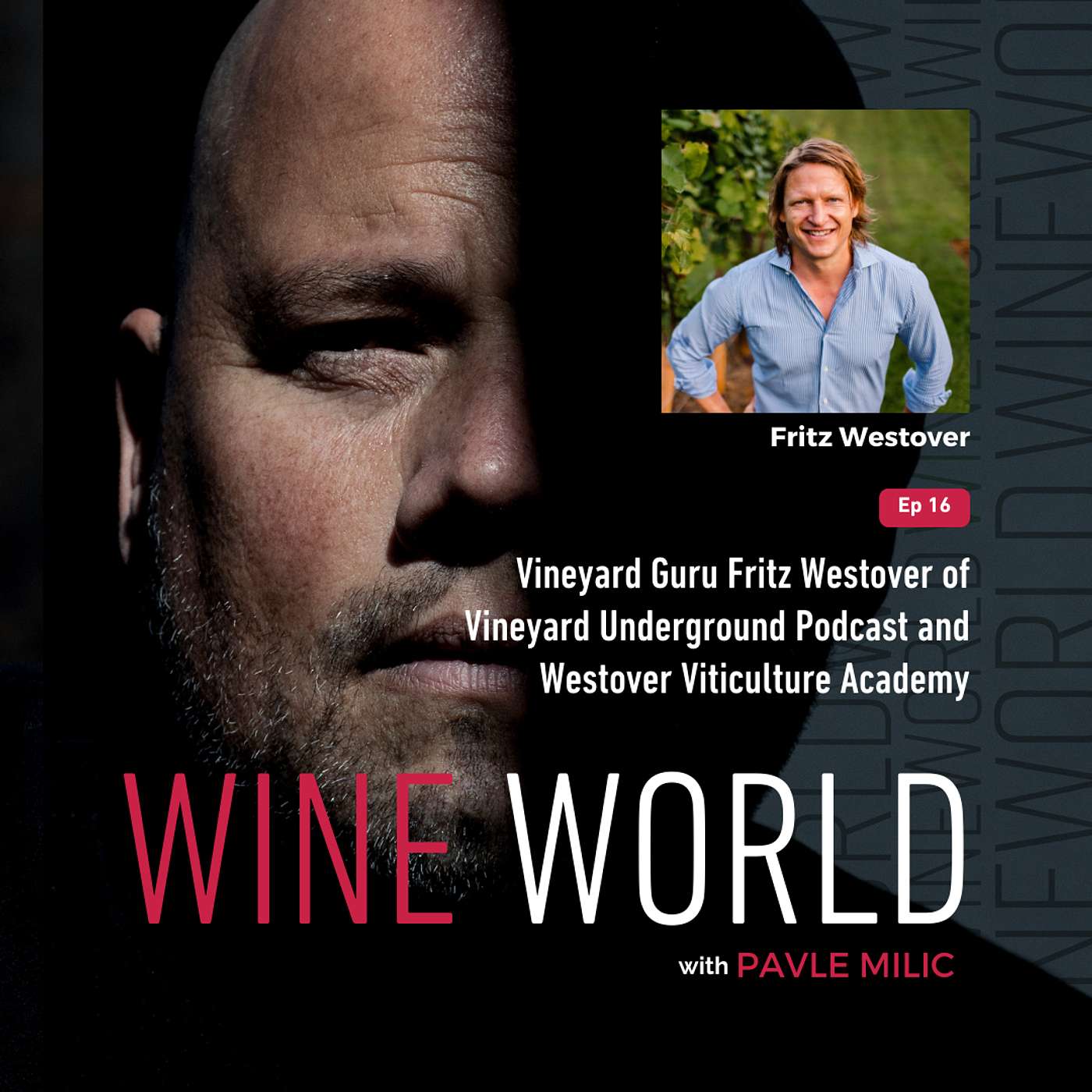 Wine World