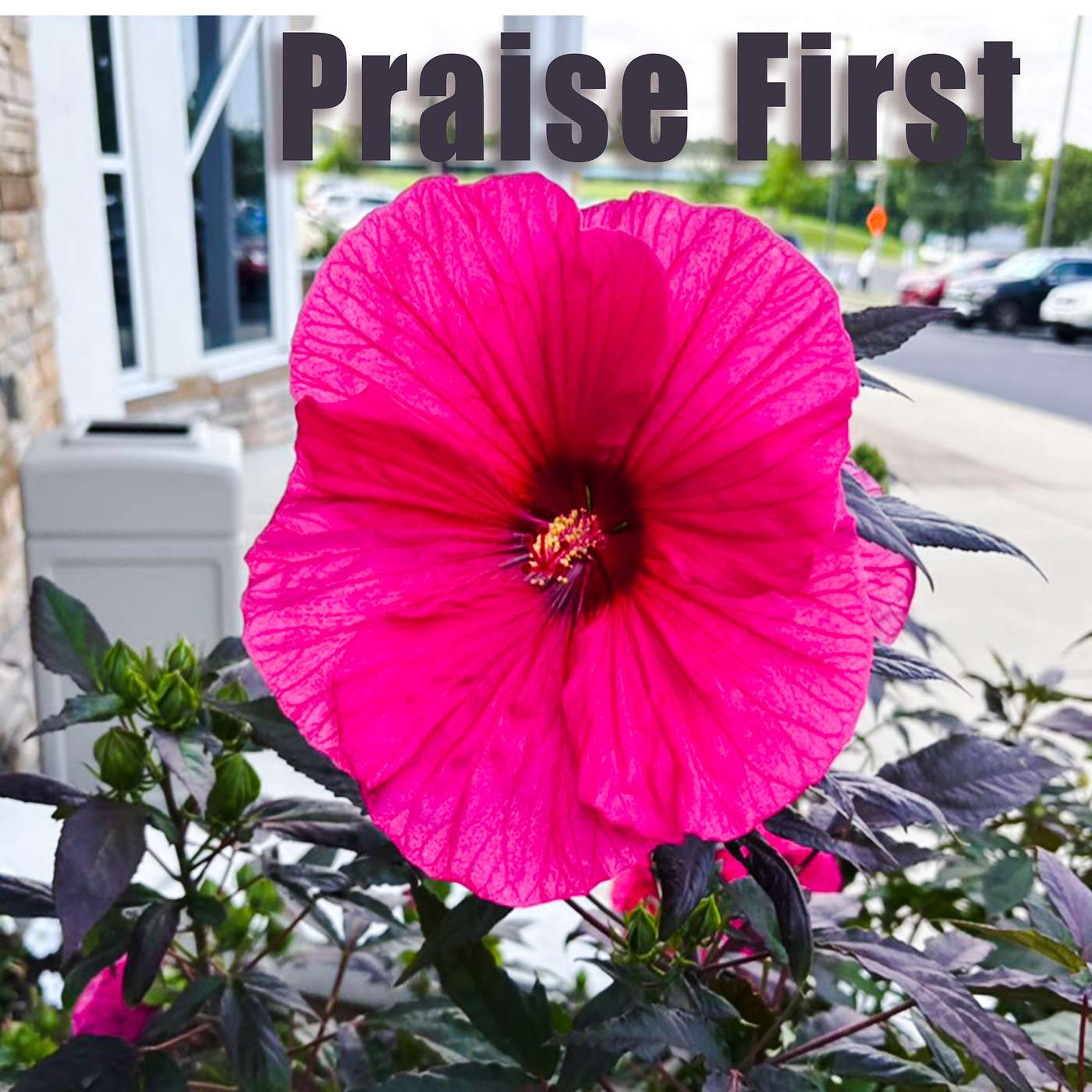 Put a Praise On It episode artwork