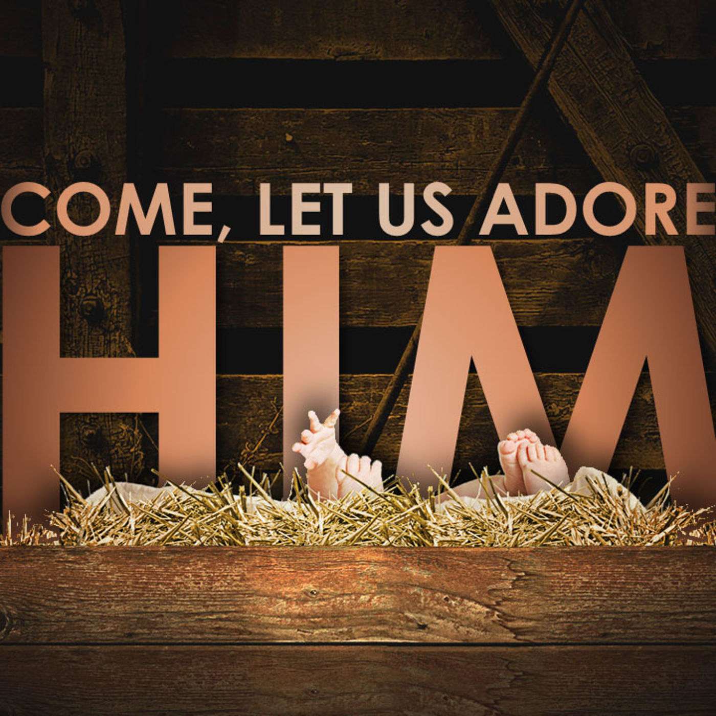 Let Us Adore Him (part 1)