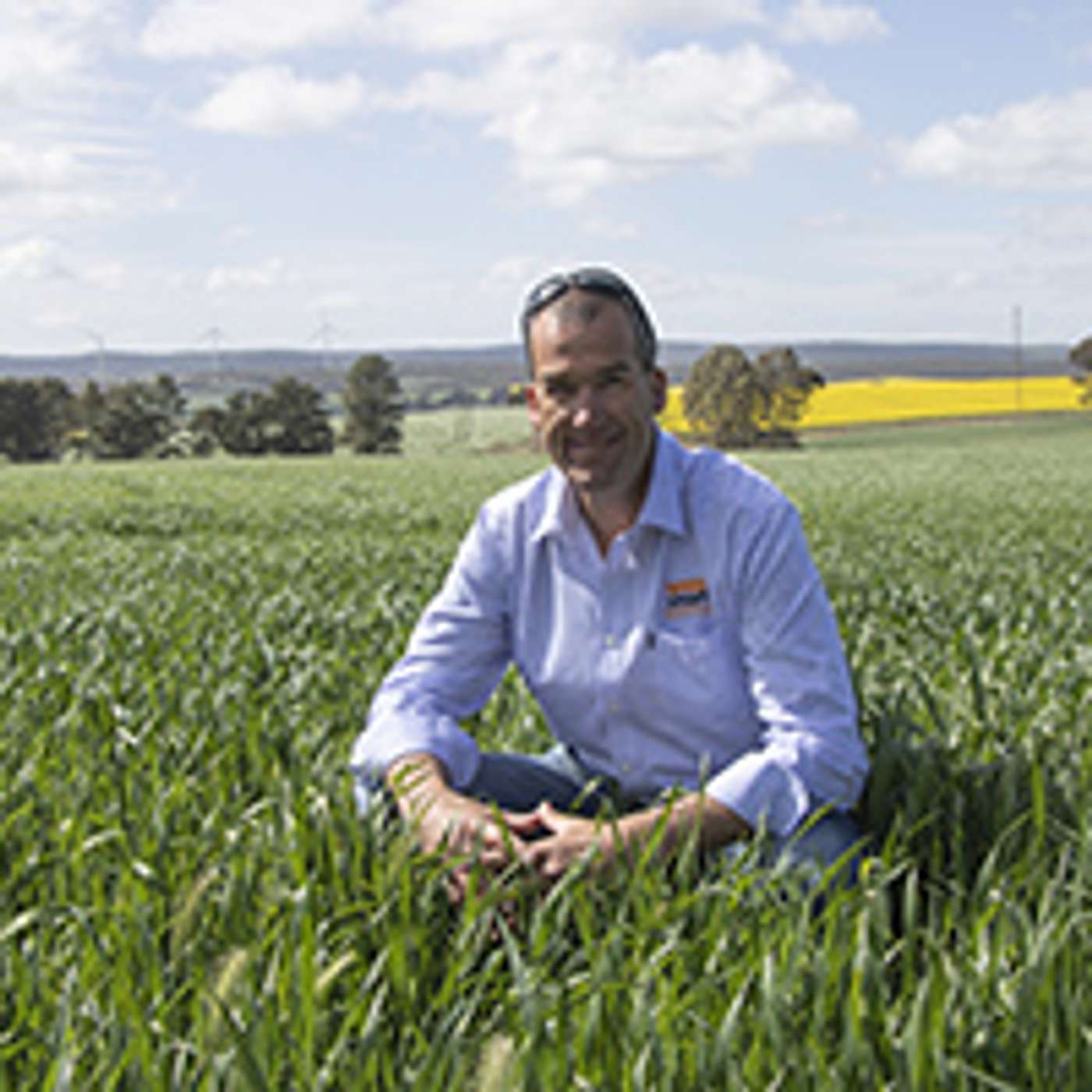 Crop preparation ahead of harvest and optimum harvester set-up for HWSC