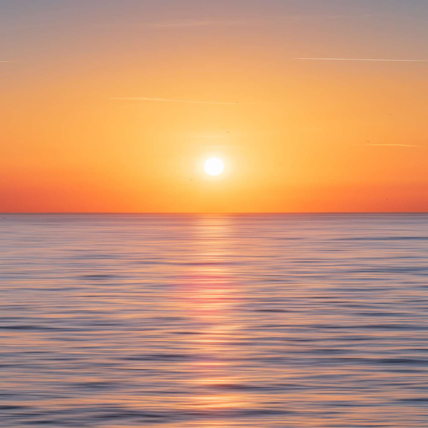 Transform Your Day: Morning Meditation and Gratitude Practice