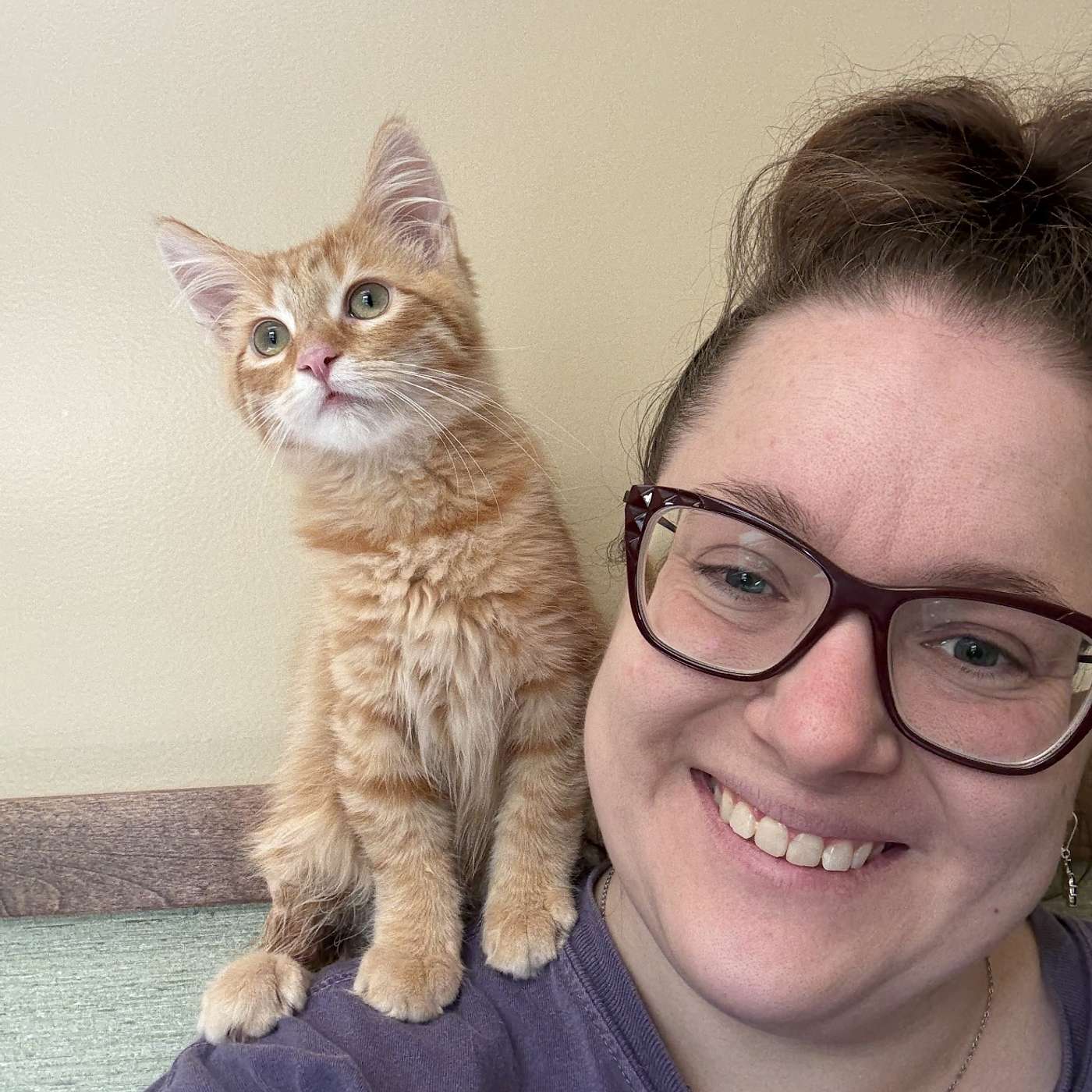 All Things Cat Purr-ogram w/ Kassie! All Things Cat Purr-ogram w/ Kassie!