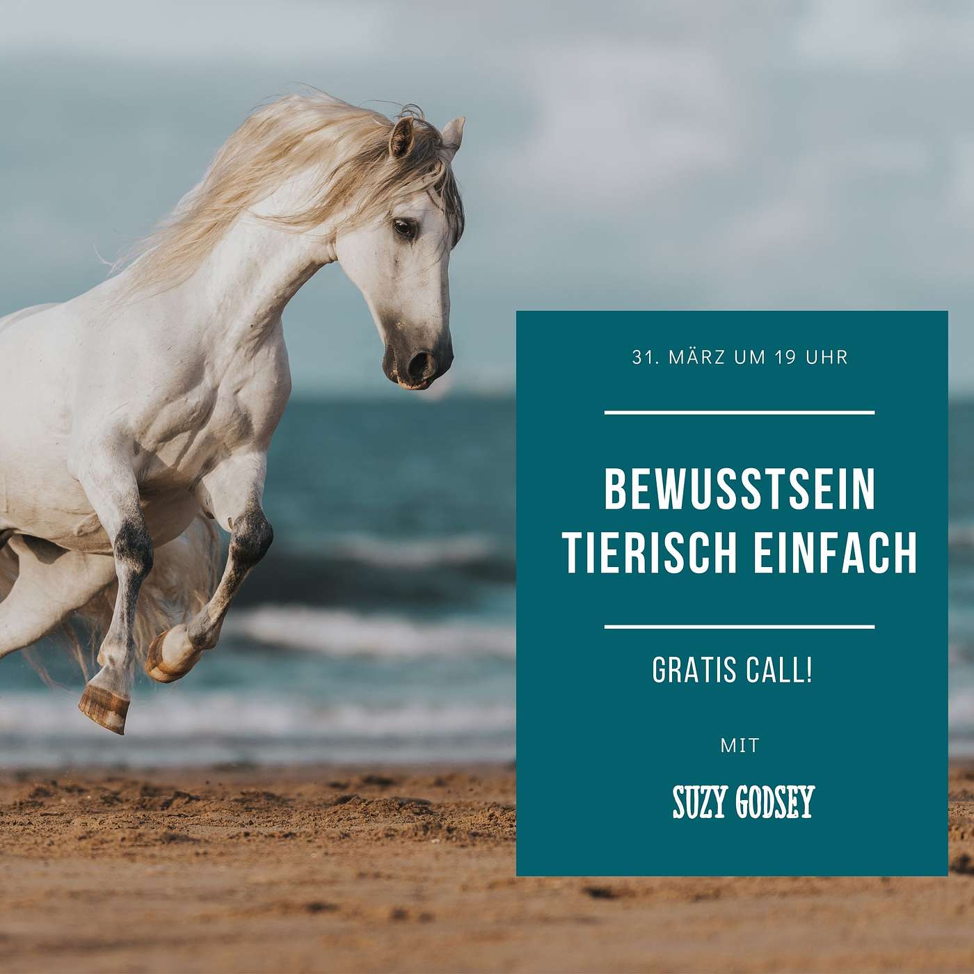 Bewusstsein Tierisch Einfach