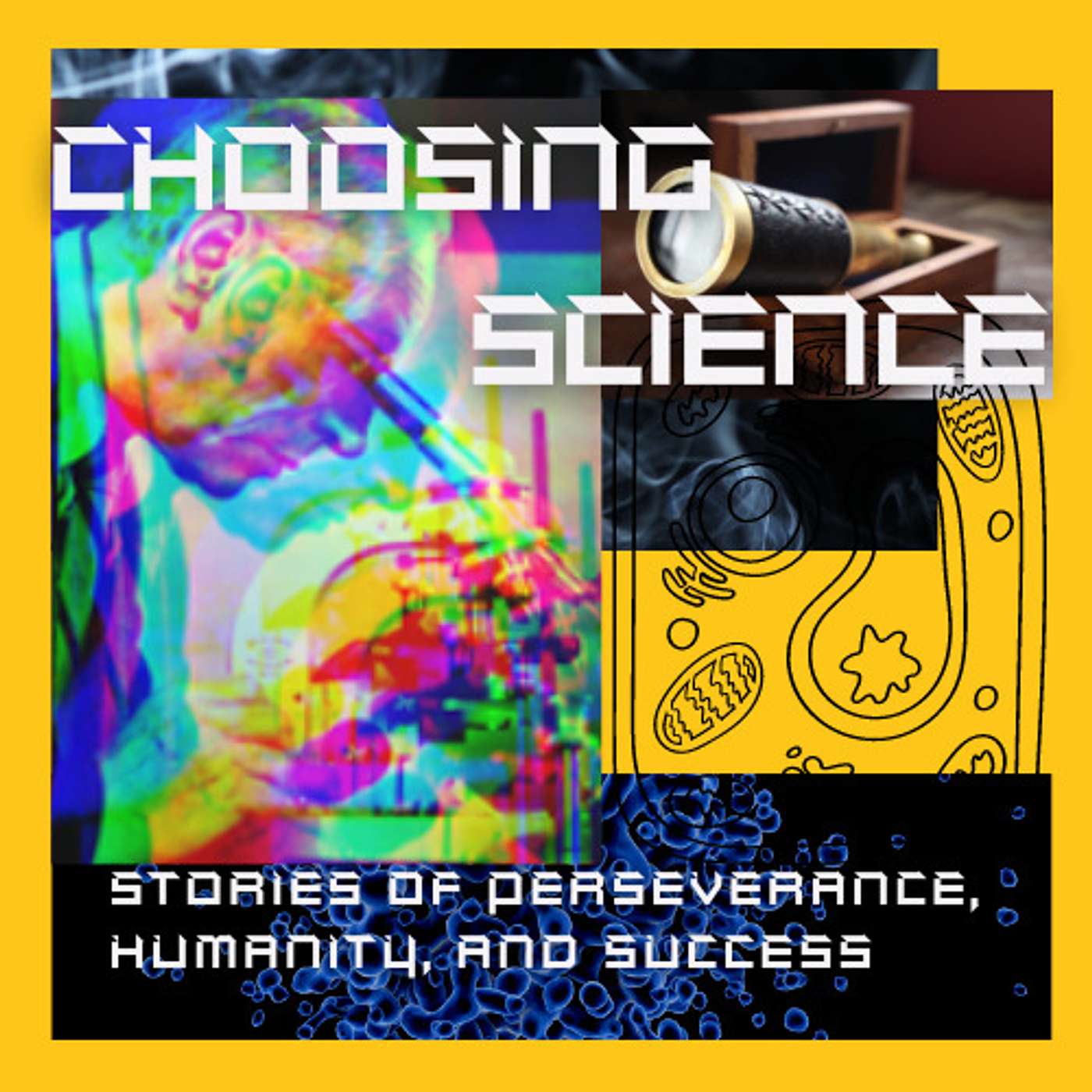 Choosing Science: Stories of Perseverance, Humanity, and Success