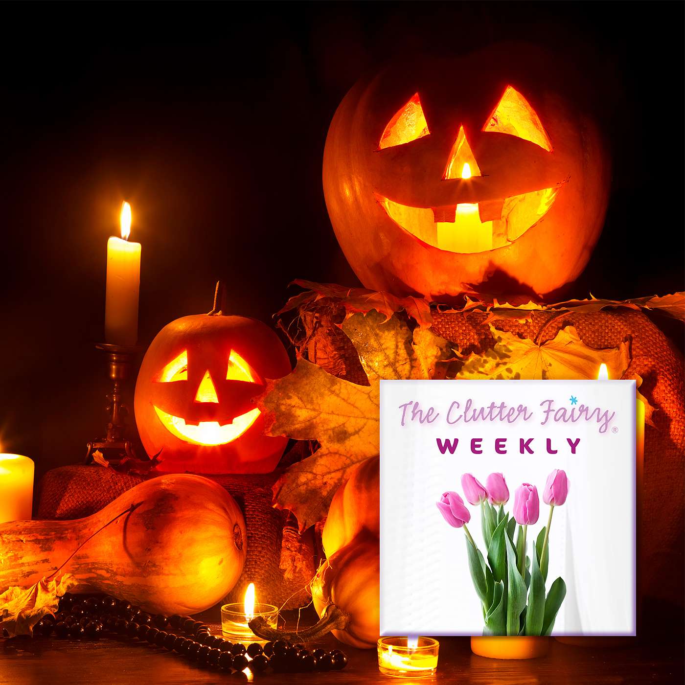 The Clutter Fairy Weekly
