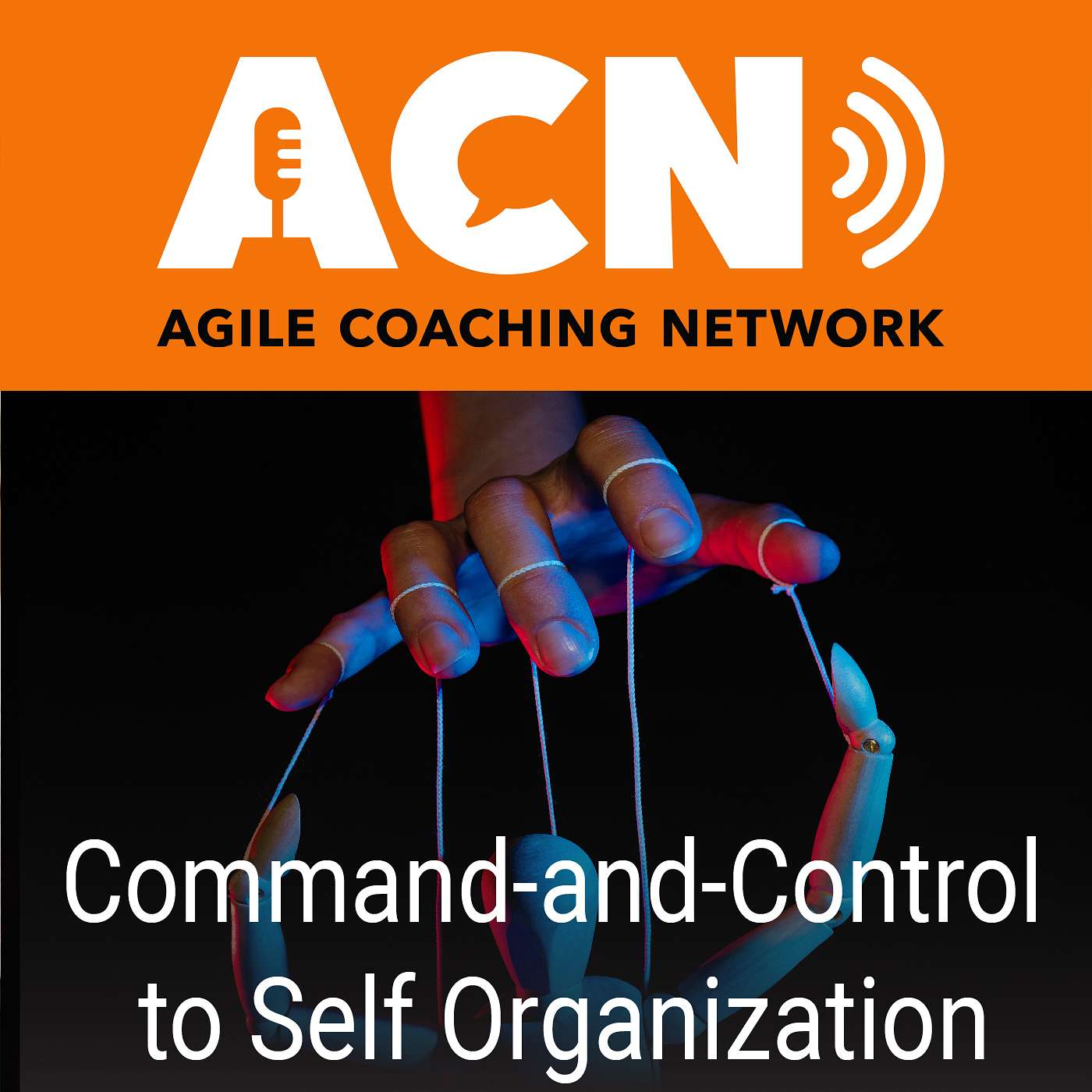From command and control to self-organization, and why use Agile project management.