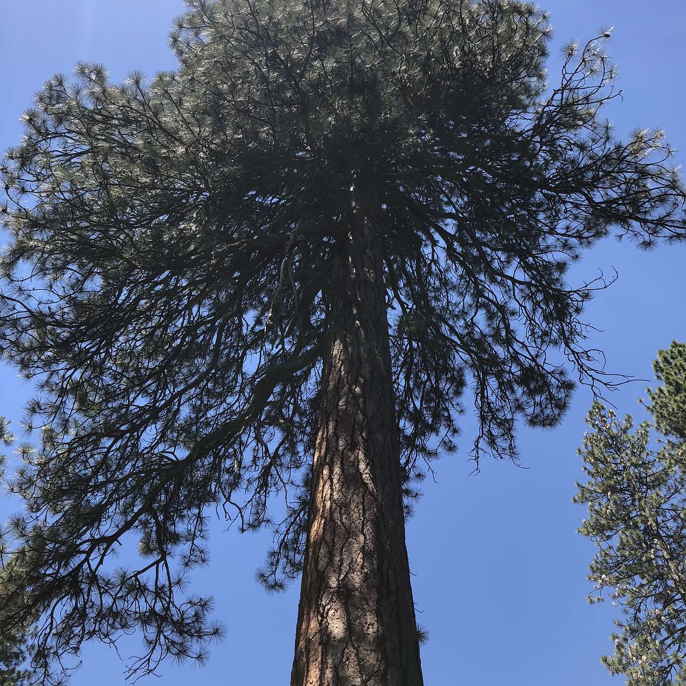 What about Sovereignty ?