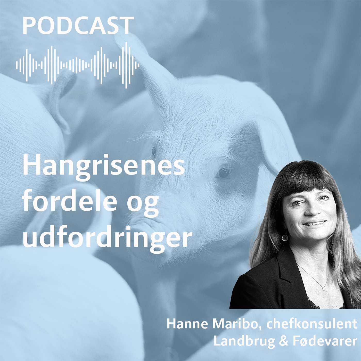 Hangrisenes fordele og udfordringer