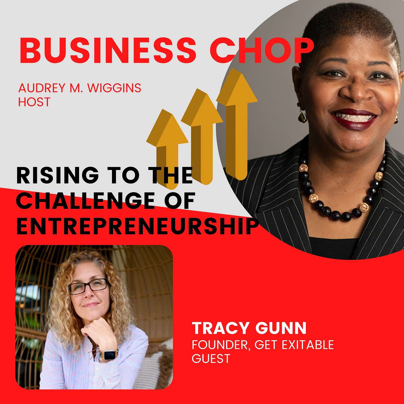 Launching a Business with a Strategy to Exit with Tracy Gunn episode artwork