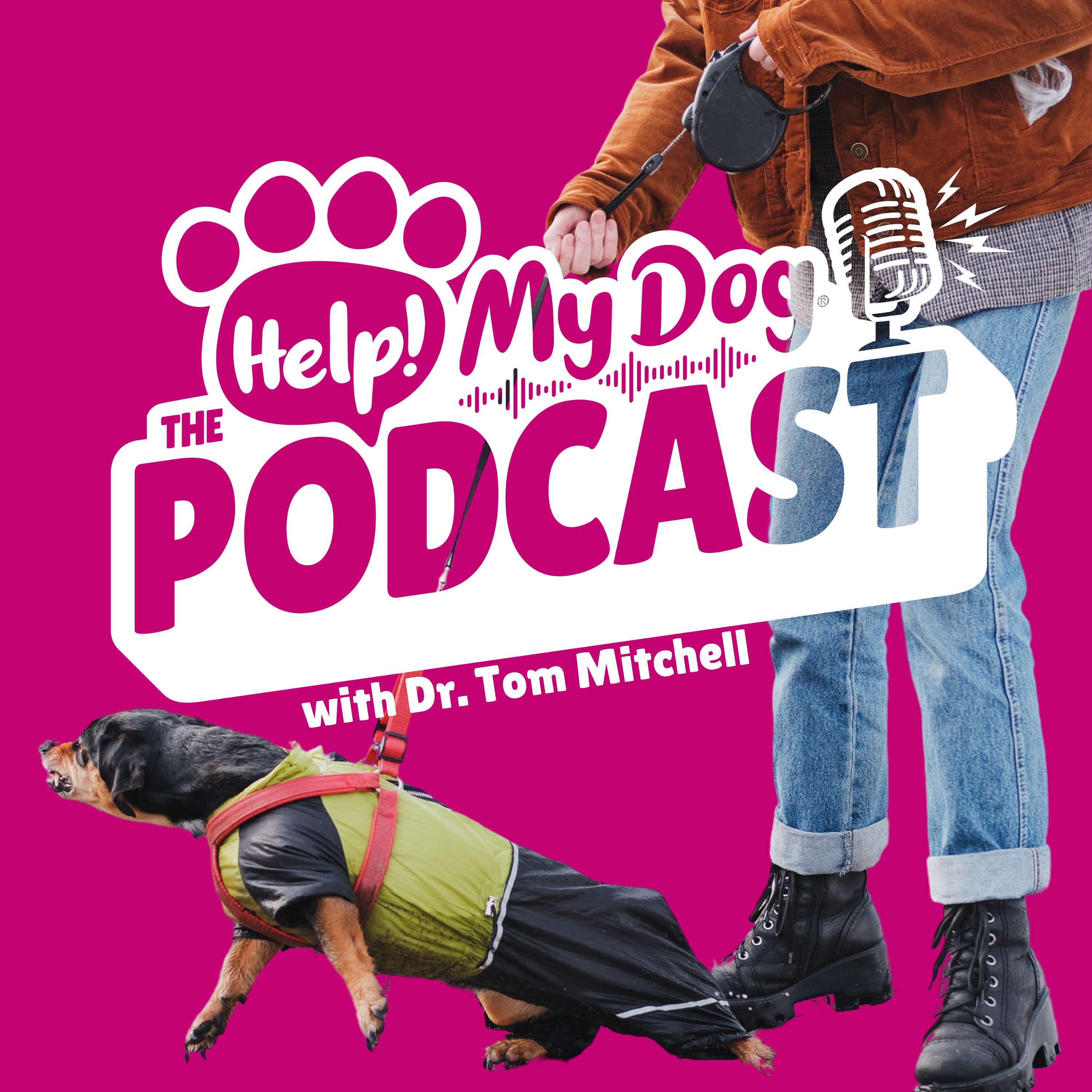 Help! My Dog: The Podcast. Dog Behaviour & Training Strategies that Work! - Ep 43: Three Secrets to Stress-Free Dog Walks, Walking Multiple Dogs Made Easy! & One Expensive Habit