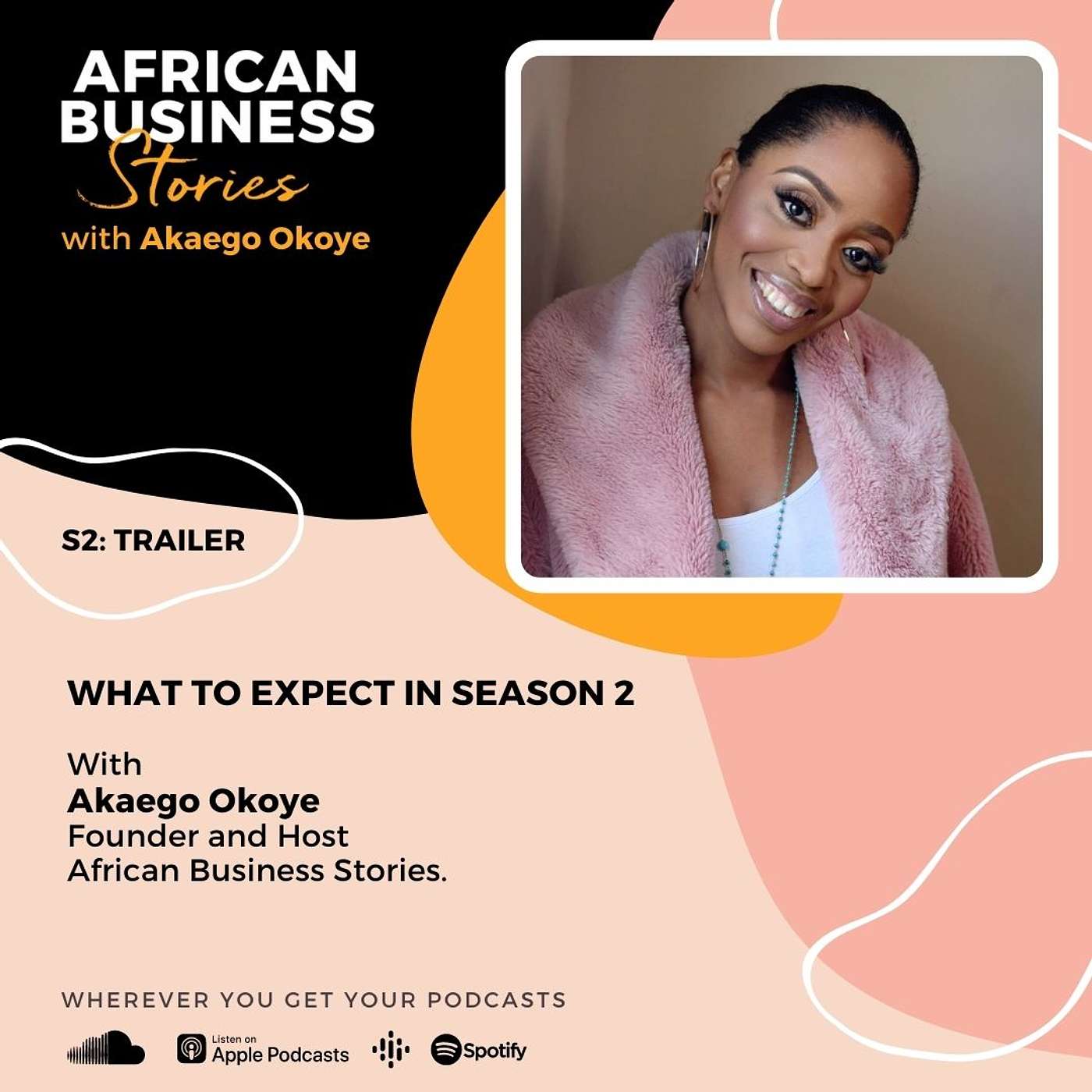 African Business Stories